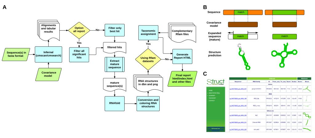 structRNAfinder_high_3